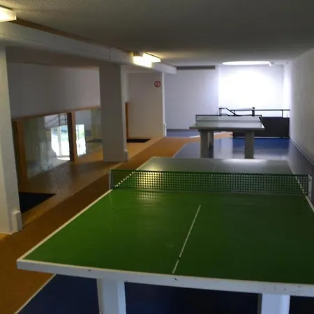 Penthouse Bergliebe Appartement Sankt Englmar